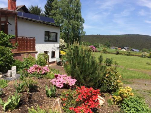 Appartements Haus am Wald - Urlaub am Nationalpark Am Forsthaus 2 Langweiler