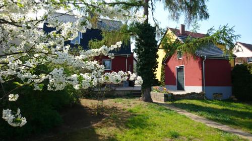 Haus an den Elbwiesen Wittemberg allemagne