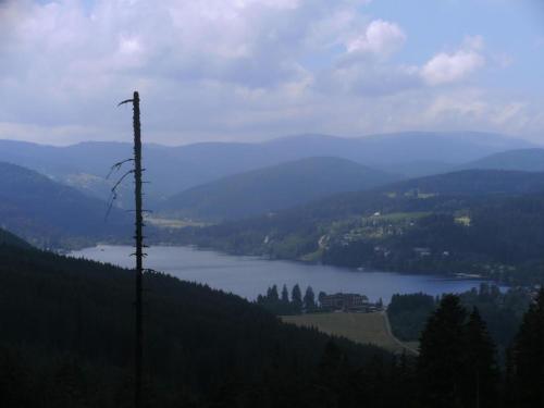 Appartement Haus Aretz Ob der Schwelle 34 Feldberg