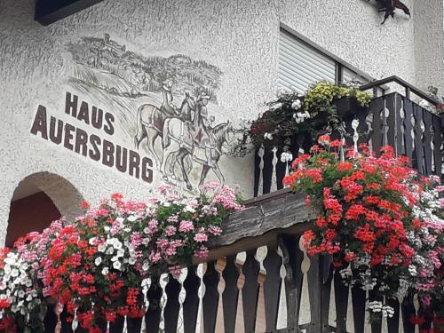 Haus Auersburg Hilders allemagne