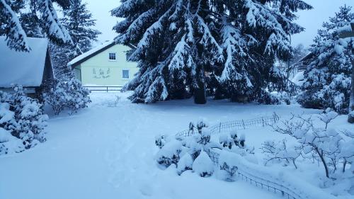 Appartements Haus Bambi 9 Tannenhöhe Schulenberg im Oberharz