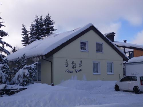Haus Bambi Schulenberg im Oberharz allemagne