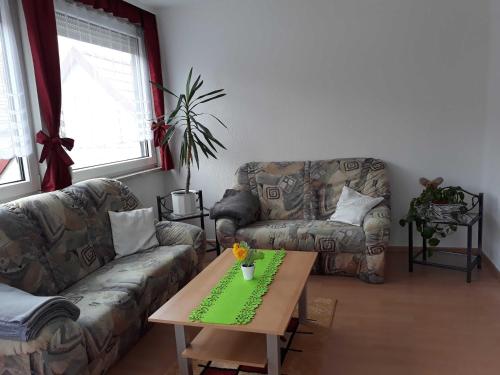 Appartement Haus Bergfried SORGENFREI BUCHEN Borntal 5 Wieda