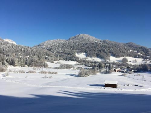 Appartements Haus Bergfrieden Doktorberg 44 Berchtesgaden