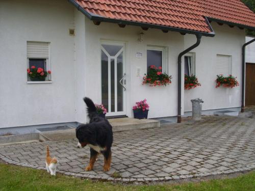 Haus Eichhölzle Bichishausen allemagne
