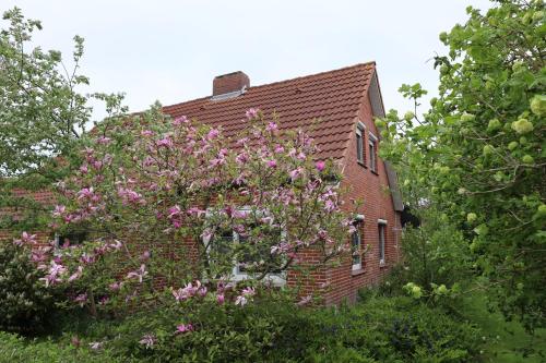 Haus Flieder Krummhörn allemagne