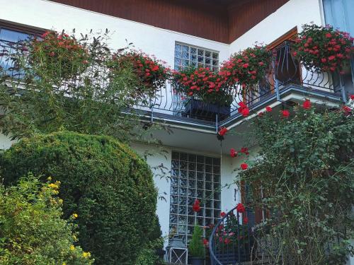 Appartement Haus Froehlich Am Stadion 10 Michelstadt