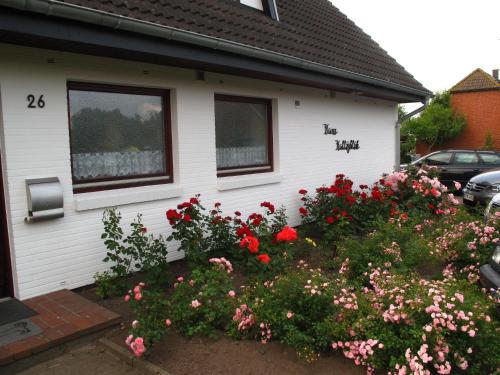 Haus-Halligblick-Ferienwohnung-Oland Dagebüll allemagne