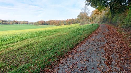 Maison de vacances Haus im Grünen 321 Dörholt Billerbeck