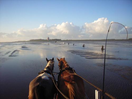 Haus im Knechtsand Cuxhaven allemagne