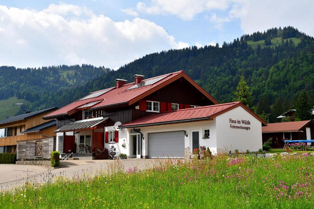 Appartements Haus im Wäldle Wäldle 91, 87538 Balderschwang