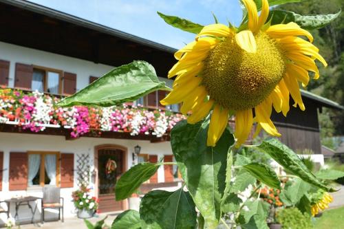 Haus Jagerer Ramsau bei Berchtesgaden allemagne