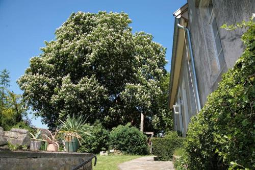 Haus Keppelborg: ZI Antonia mit Kirchplatzblick Heek allemagne