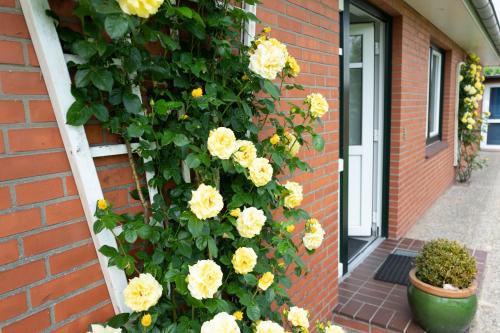 Appartements Haus Kölfhamm Am Deich 26 Sankt Peter-Ording