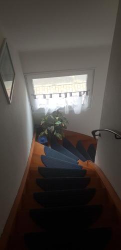 Appartement Haus Konny 42 Alter Postweg Fehmarn