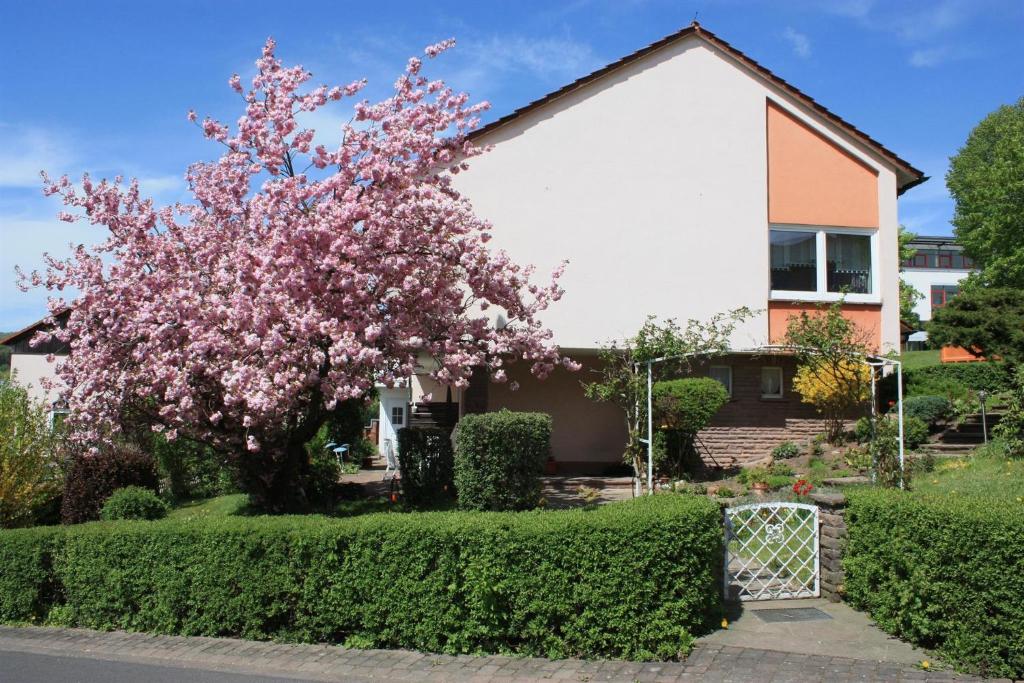 Appartement Haus Müller Adelheid Stielerstr. 2, 36115 Hilders