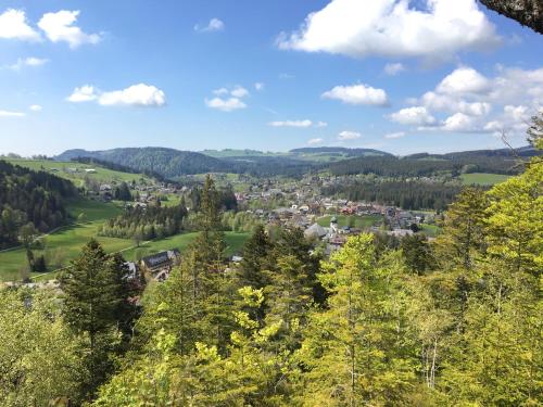 Haus Nagel Hinterzarten allemagne