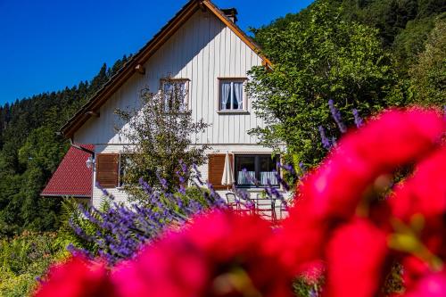 Haus Niedermättle Oppenau allemagne