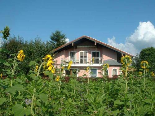 Appartement Haus Obermayer Ulmenstraße 10 Laufen