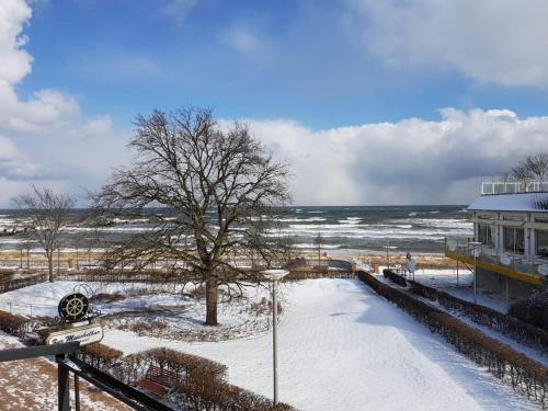 Haus Ostseeblick 3 Raum Whg. Nr. 6 mit Terrasse und Meerblick Göhren allemagne