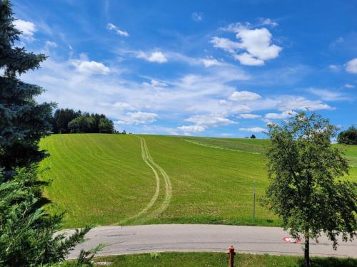 Appartement Haus Panoramablick - Fewo Kuckucksnest, Höchenschwand Bergstraße 1 Höchenschwand