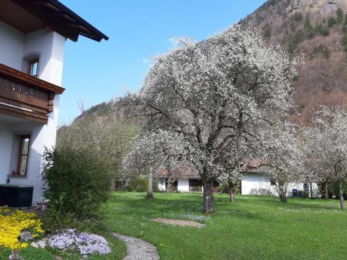 Appartement Haus Polleichtner Freiweidach 1 Marquartstein