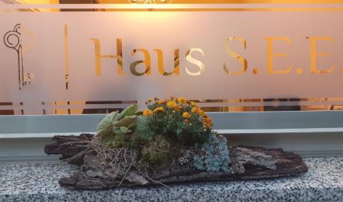 Haus S.E.E. Marienthal allemagne