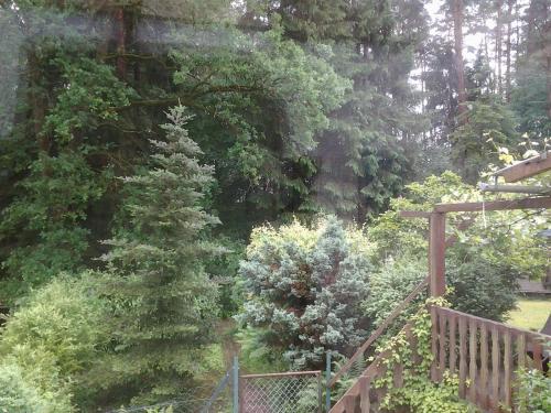 Appartement Haus-Saufelsen Am Saufelsen 20 Ludwigswinkel