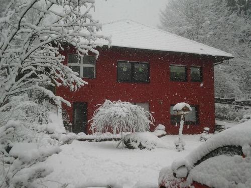 Haus-Saufelsen Ludwigswinkel allemagne