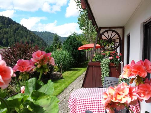 Haus Schäfer Menzenschwand allemagne