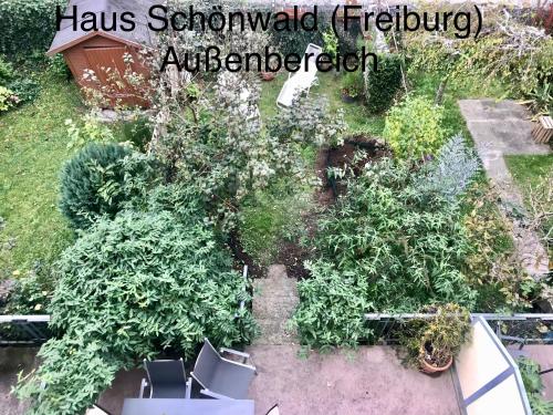 Appartements Haus Schönwald Adlerstraße 8C Fribourg-en-Brisgau