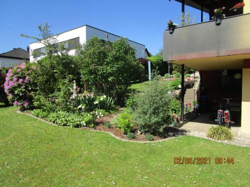 Appartement Haus Schultz 46 Am Laubloch Traben-Trarbach