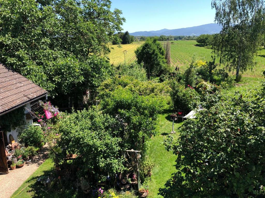 Appartement Haus Schwarzwaldblick Rheinstraße 15, 77855 Achern