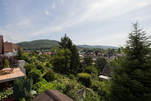 Haus Sonnenhang Friesenheim allemagne