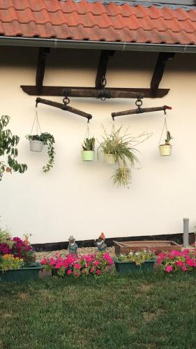 Maison de vacances Haus Spreewaldimkerei Zum Wasserwerk 4 Eichow