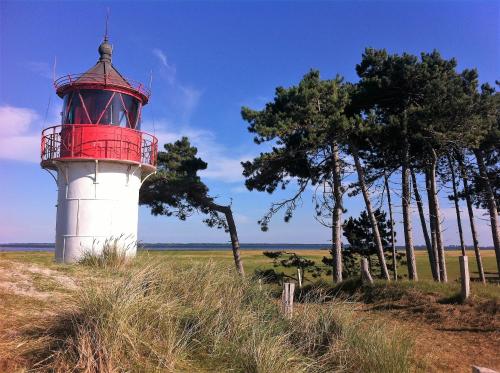 Appartements Haus Strandlaeufer Am Ostseestrand 8 Dranske