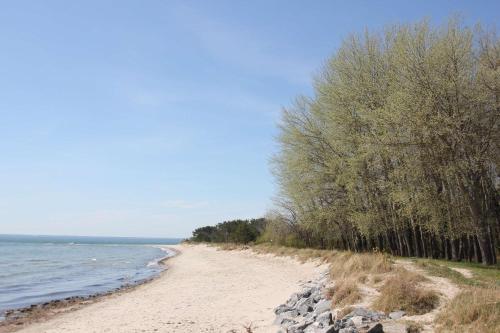 Haus Südperd Wohnung Strandwinde Thiessow allemagne