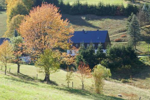 Appartement Haus Talruhe 13 Matthäusweg Kurort Altenberg