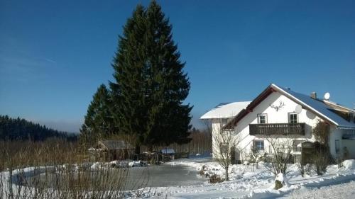 Appartement Haus WasserwiesEG Langreut 65 Haidmühle