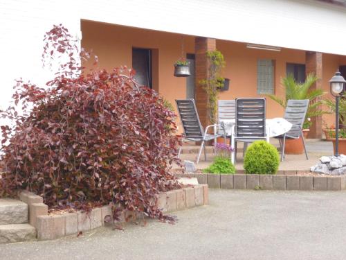 Appartement Haus Wendling Schwalenhof Blankenrath