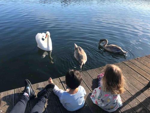 Maison de vacances Haus Wilma Grüne Idylle im Wald direkt am See 4 Am Großen Glubigsee Wendisch Rietz