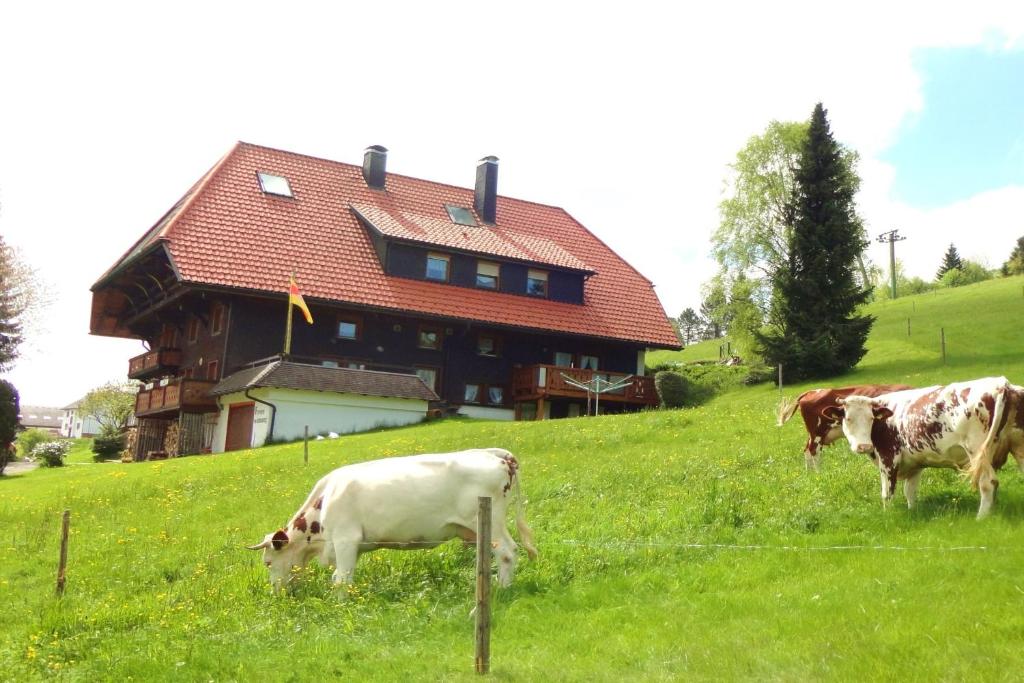 Appartement Haus Winterberg Obertalstraße 15, 78136 Schonach