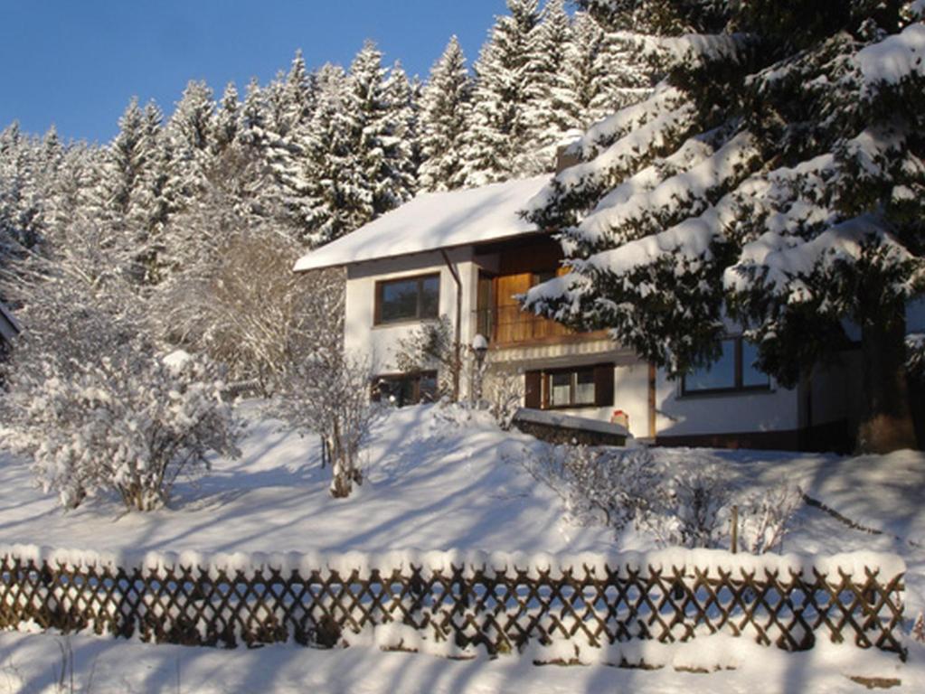 Appartements Haus Wintersonne 4 Ortsstraße, 79868 Feldberg