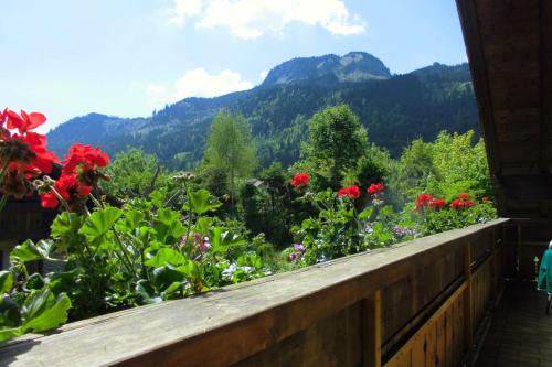 Appartement Haus Wippler 27 Zum Stegacker Bad Hindelang