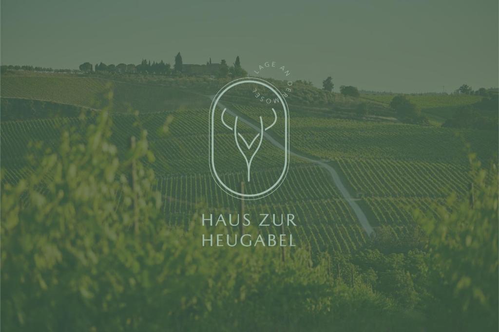 Villa Haus zur Heugabel 5 Am Herrenberg, 54518 Kesten