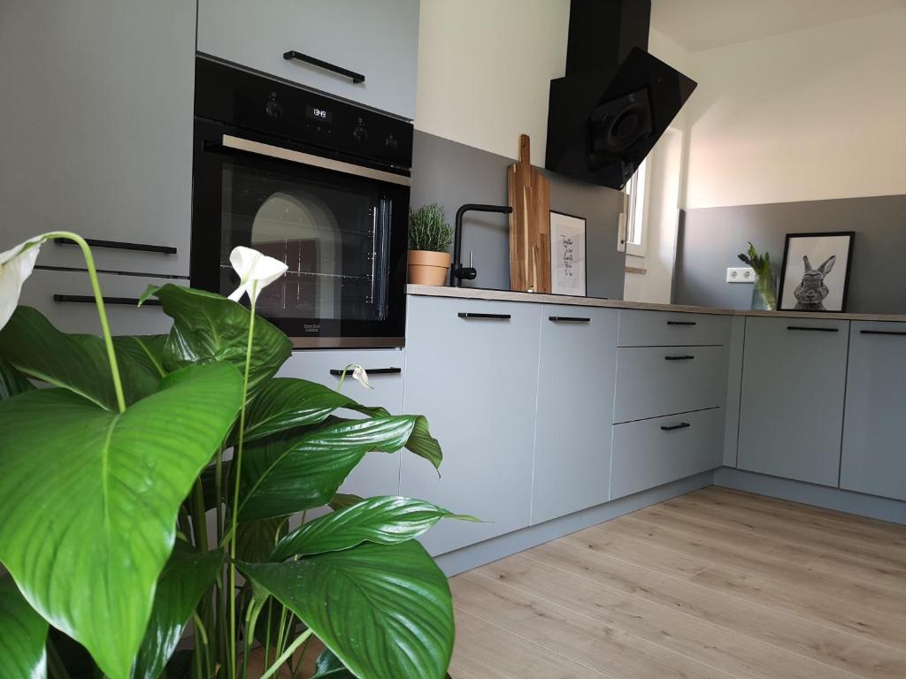 Maison de vacances Haus zur lachenden Lieselotte 1 Zeisigweg, 92353 Postbauer-Heng