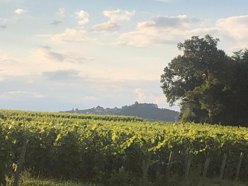 Havre de Paix au pied des Vignes Thauvenay france