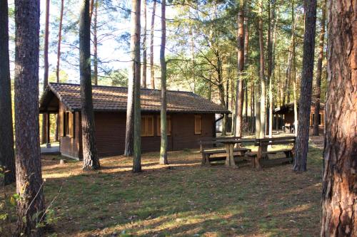 Maisons de vacances Heide-Camp Colbitz Am Waldbad 1 Colbitz