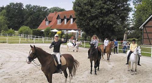 Heidehotel Gut Landliebe Hermannsburg allemagne