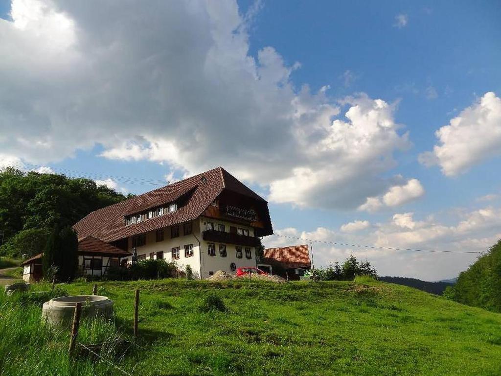 Appartements Heizmannshof Breitebene 11, 77716 Hofstetten